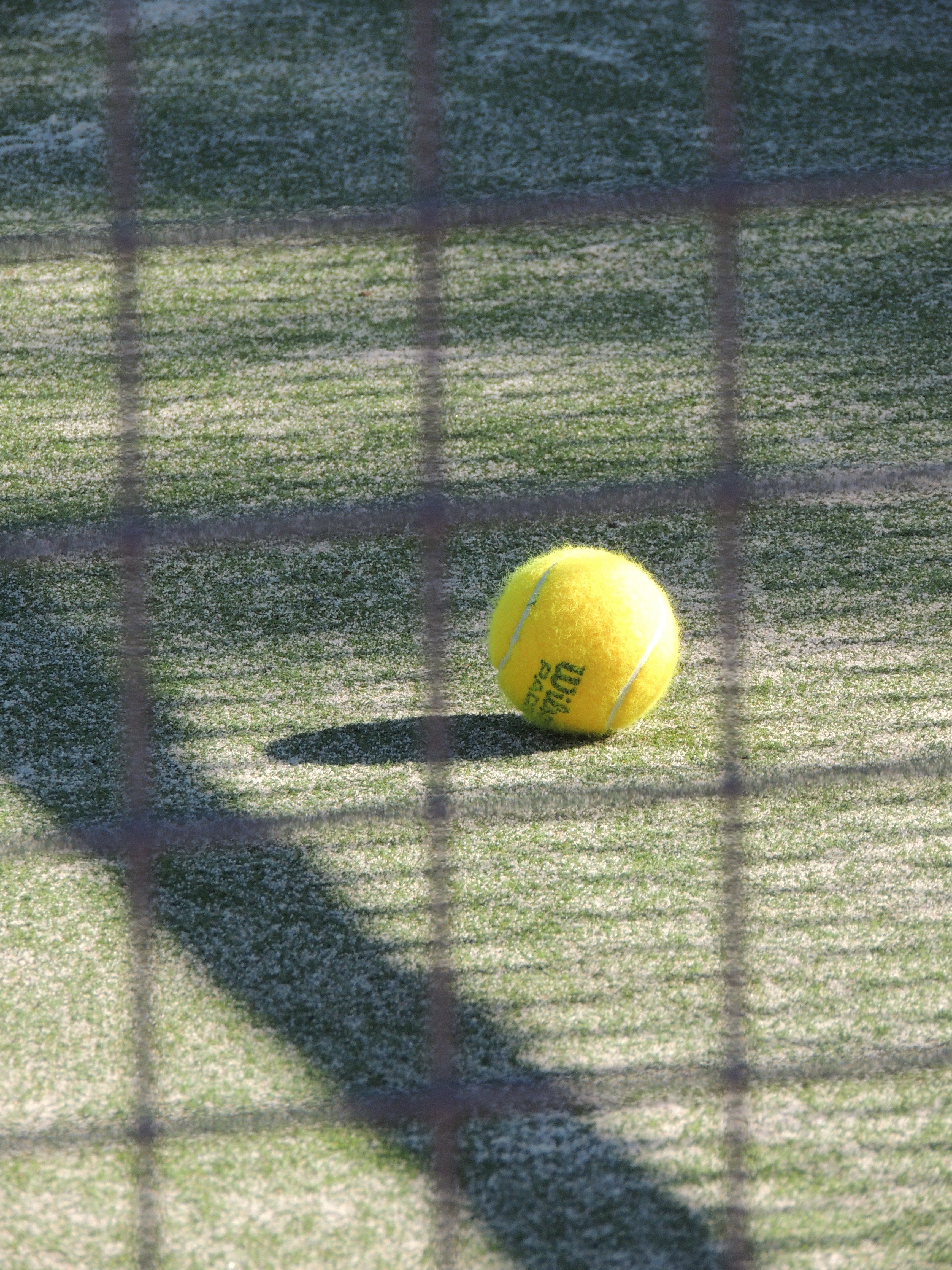 A tennis ball